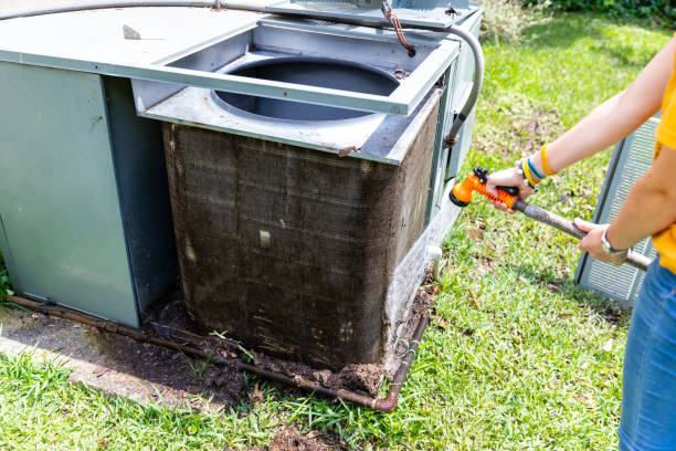 Best Professional Duct Cleaning Services  in Wanamingo, MN