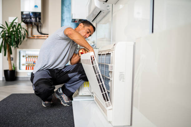 Best Affordable Air Duct Cleaning  in Wanamingo, MN