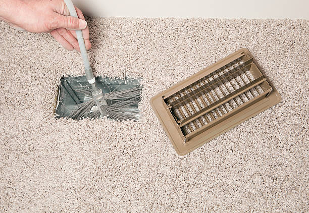 Best Home Air Vent Cleaning  in Wanamingo, MN