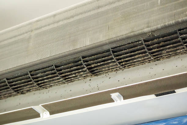 Best Emergency Air Duct Cleaning  in Wanamingo, MN